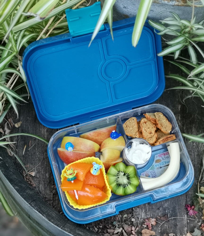 Napichovátka delfíny a morskí kamaráti