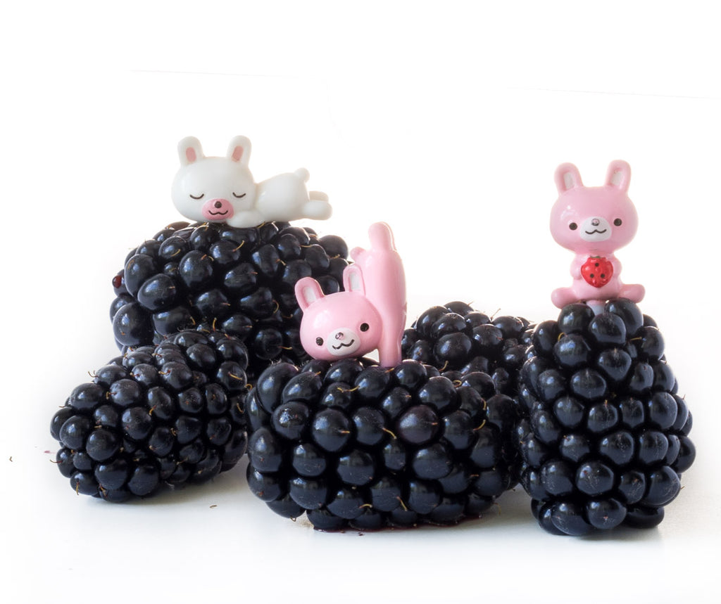 Napichovátka zajkovia