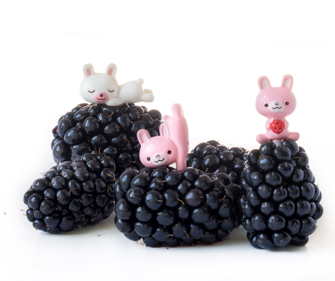 Napichovátka zajkovia